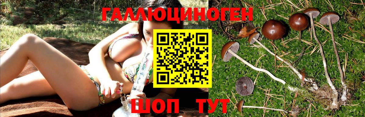 Псилоцибиновые грибы прущие грибы  Вход с VPN  Переславль-Залесский 